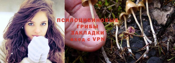 MDMA Premium VHQ Новозыбков