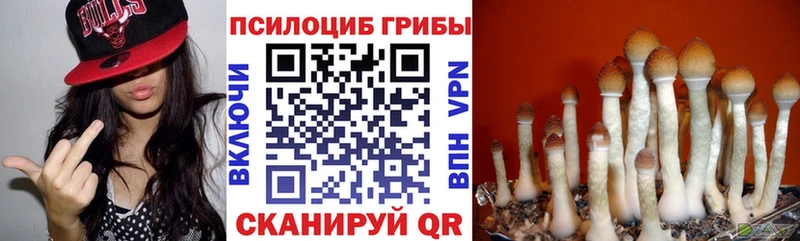 Галлюциногенные грибы прущие грибы  Владимир 