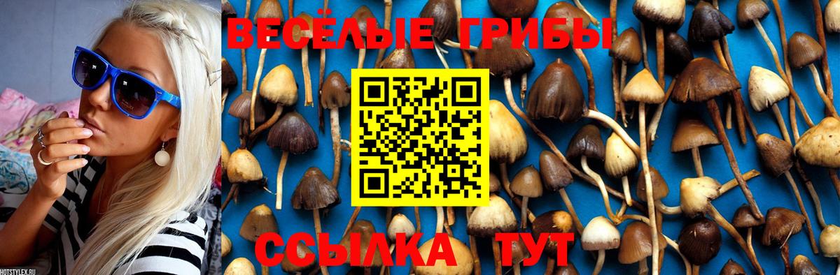 Псилоцибиновые грибы Magic Shrooms Владимир