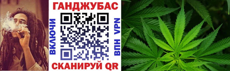 Конопля гибрид  Владимир 