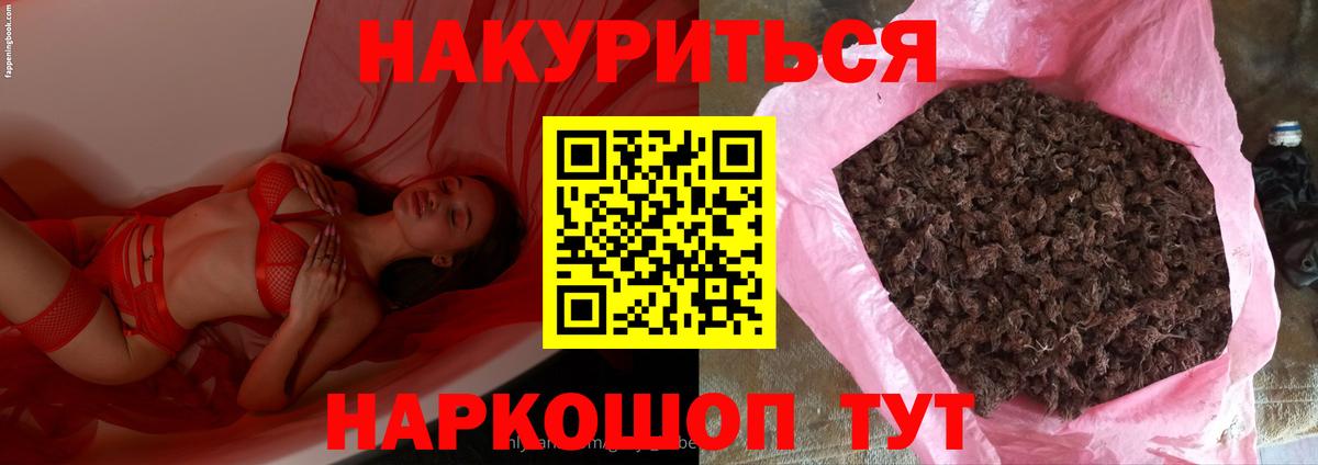 МАРИХУАНА гибрид  Владимир  Бошки марихуана Bruce Banner  Шишки марихуана THC 21% 